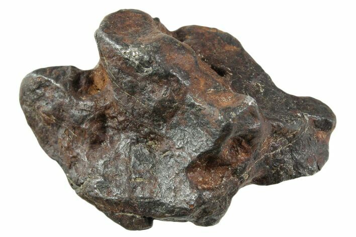 Canyon Diablo Iron Meteorite ( g) - Arizona #356101